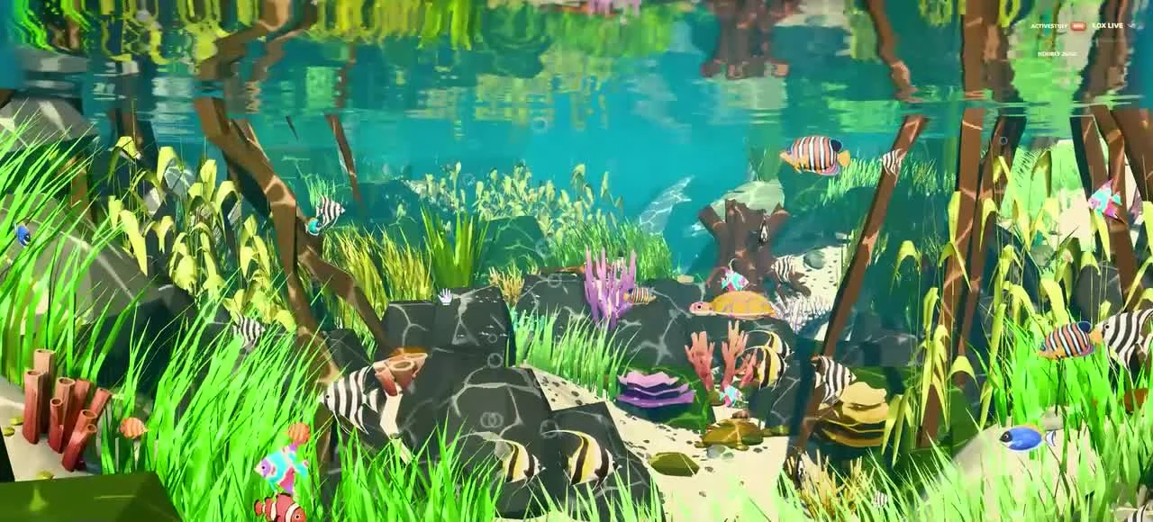 A current ChillTank habitat filled with colourful fish