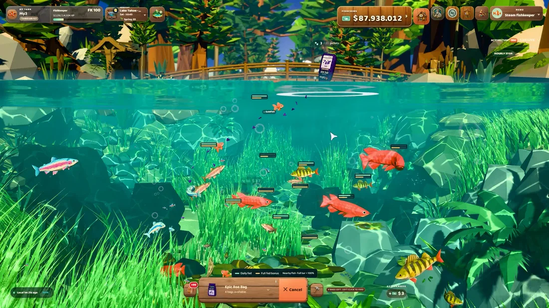 Colourful fish swimming through a bright turquoise reef habitat