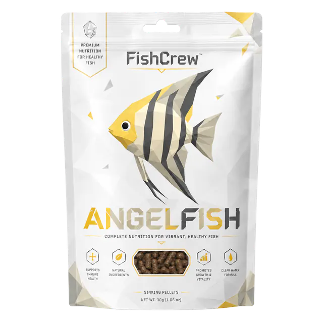 Crewfood Angelfish