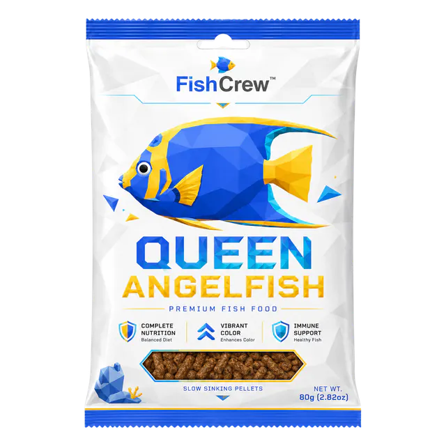 Crewfood Queenangelfish